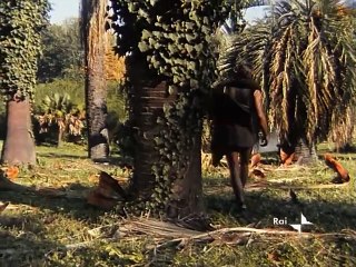 ODISSEA - Episodio 5: L'Isola di Circe e la Discesa agli Inferi 🌊