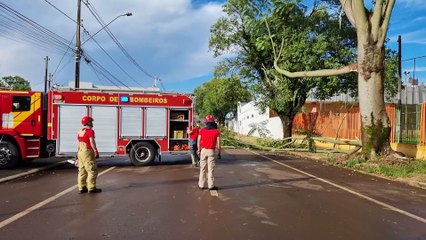 Corpo de Bombeiros é mobilizado para remover galhos que interditaram na Rua Uruguai