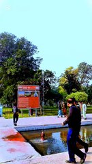 Shalimar bagh tour|Punjabi culture info