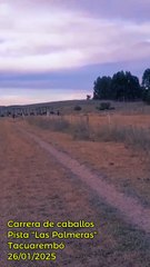 Carrera de caballos en la pista Las Palmeras de Tacuarembó (26/01/2025)