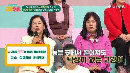 ※약 3mm라는 우리의 연골!※이 얇디얇은 연골이 평생 우리의 몸을 지탱해야 한다고?!