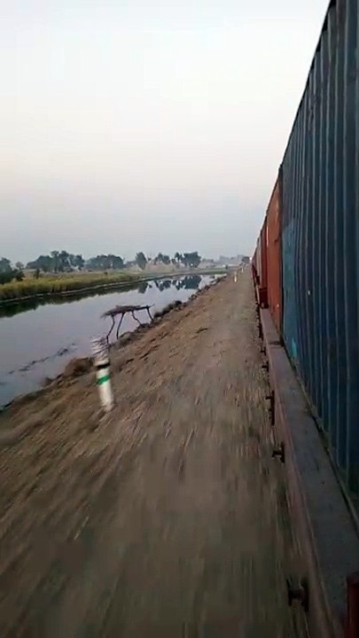 Container Train