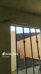 Aparecen unas cuevas en el cerro de los misterios y salen unos seres humanoides caminando #shorts
