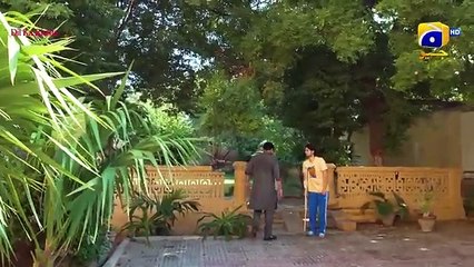 Bajjo Episode 39 - [Eng Sub] - Javeria Saud - Arez Ahmed - Suqaynah Khan - 31st January 2025