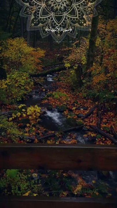 The Verse That Awakens Hearts | Surah Al-Anbiya Ayah 3 | Soothing Quran Recitation #DailyQuran #SurahAlAnbiya