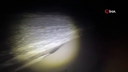 Bitlis'te gökyüzü şöleni! Gezegenlerin dansı böyle görüntülendi