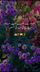 5 Hastian Jo Duniya Main Sub Sey Zaida Roi Then