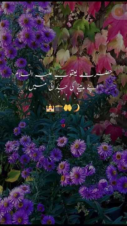 5 Hastian Jo Duniya Main Sub Sey Zaida Roi Then