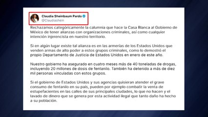 멕시코 대통령, 미에 즉각 보복관세...펜타닐 지목엔 "중상모략" / YTN