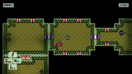 Link's Awakening DX HD-Moblin Boss