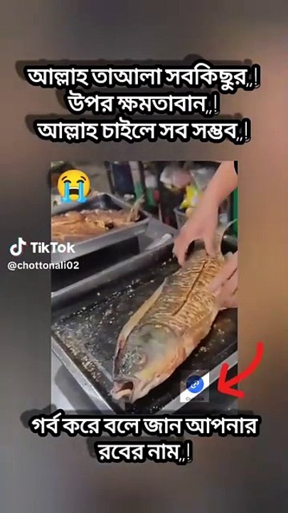 #Viral#islamic#viral sorts#news#allahuakber