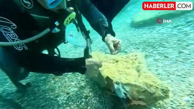 Prof. Dr. Mehmet Gökoğlu, Dalışta İki Balığın Hayatını Kurtardı