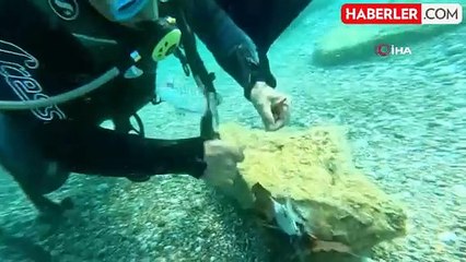 Prof. Dr. Mehmet Gökoğlu, Dalışta İki Balığın Hayatını Kurtardı