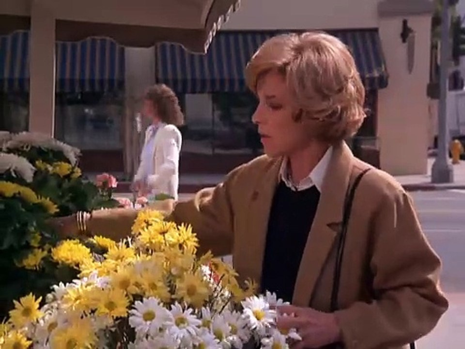 Agentin mit Herz S01E19-Heiße Ware