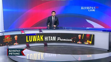 Tiba di Indonesia, Patrick Kluivert Siap Pimpin Timnas Hadapi Australia