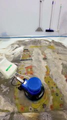 The Slime That Comes Out Is Amazing - Dirtiest Carpet - Satisfying Video  #carpetcleaning #shorts