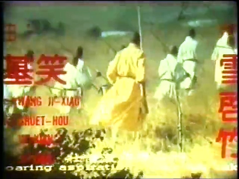 Shaolin Tong Zi Kung (1981)