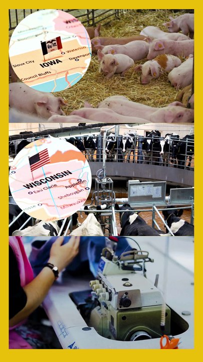 Mexico and Canada Prepare Retaliation as U.S. Imposes 25% Tariffs