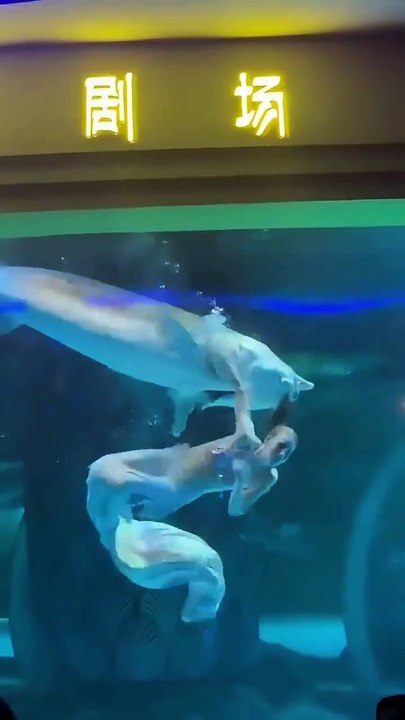 Ce poisson aime faire de gros bisous