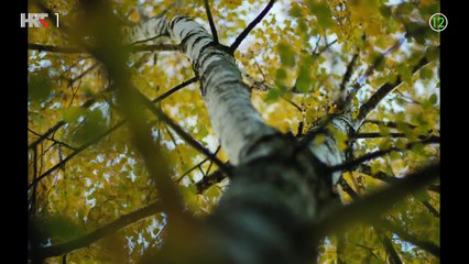 Sram (2024) - Epizoda 7 - Domaća serija