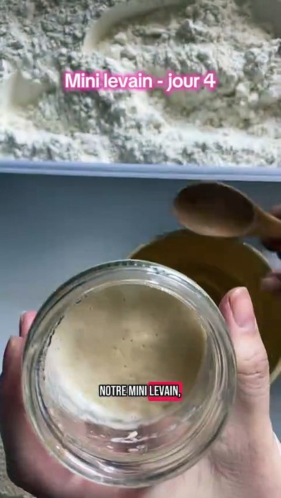 On l’appelle SyLevain ? #levain #sourdough #sourdoughstarter