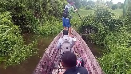 Perahu Jelajah Hutan Kalimantan Ship Explore Kalimantan's  Jungle