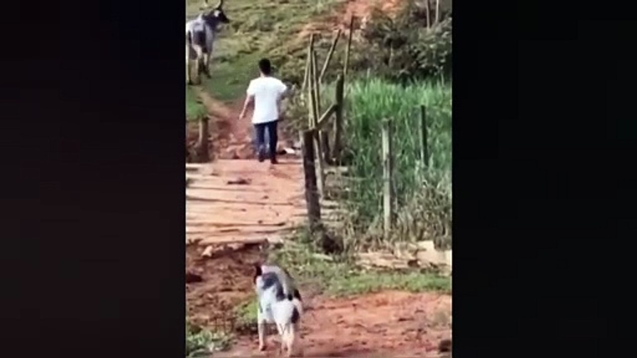 You Can’t Watch This Without Laughing! 😆💀