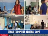 Primera Consulta Popular Nacional 2025 ofrece un proceso de votación sumamente fácil y rápido