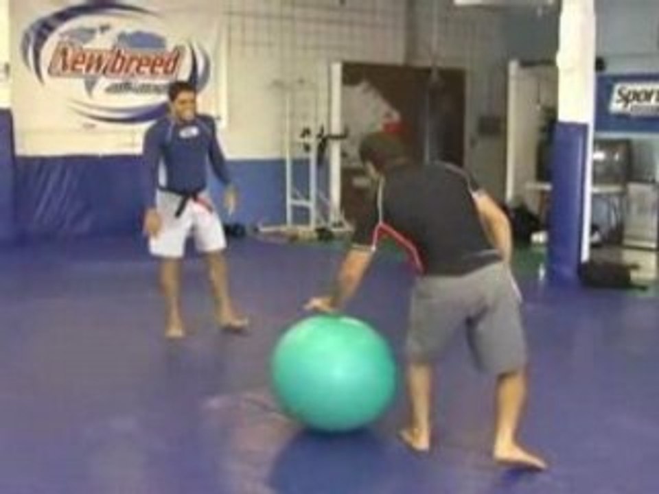 Balance Ball