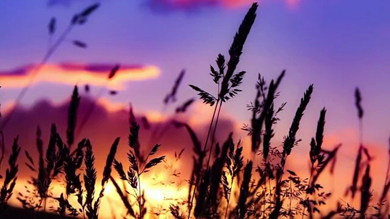 Endormez-vous vite - Musique relaxante pour sommeil profond et soulagement du stress. Musique calme.