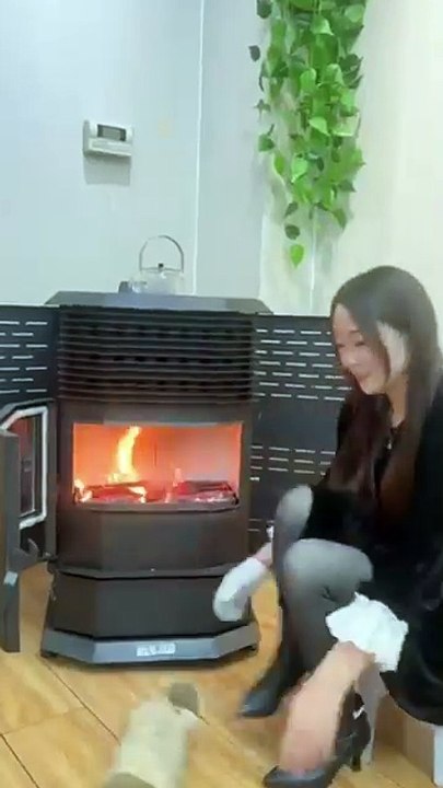 heatingstove pellet heater European wood pellets dual purpose fireplaceSD