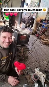 Bakıcısına sarılmak istediğinde onun atölyesine gelip kapıyı açıp, içeri girmek için bakıcısının izin vermesini bekleyen eşek