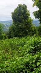 Memanjakan mata di ketinggian desa tampa