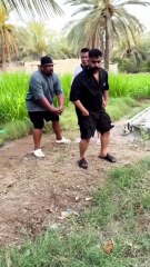 Funny video just end