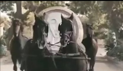 Koff Extra Brew ( Retromainos )