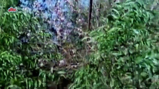 Kaam Kisi Ke Koi /1992 Khule Aam / Asha Bhosle , Chunky Pandey , Neelam