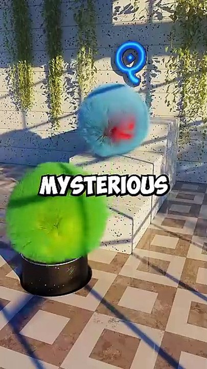 Facts 03// English #facts #viral #trending