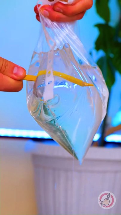 Colorful Pencils Makeup Trick! 💄