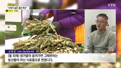업체는 4곳, 행정처분은 1곳만...군청의 이상한 단속 잣대 / YTN
