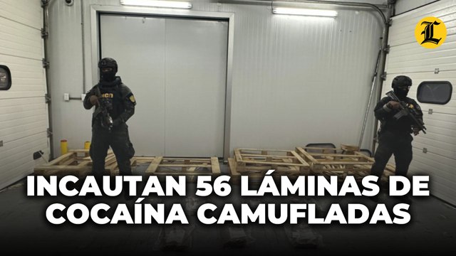 Incautan 56 láminas de cocaína camufladas en madera en Puerto Caucedo