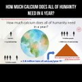How much calcium does all of humanity need in a year?