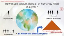 How much calcium does all of humanity need in a year?