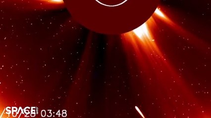 Comet Atlas Travelling Close Into Sun Captured By Spacecraft