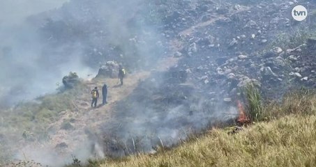 Incendio afecta varias hectáreas del parque Altos de Campana