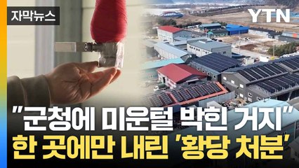 [자막뉴스] 4곳 중 한 업체만 '행정처분'... 설 대목 놓쳐 '발 동동' / YTN