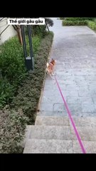 Your way, you go my way, I go