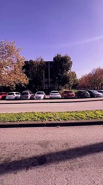 #motivationalvideo #conseil #proverbe #success #sagesse