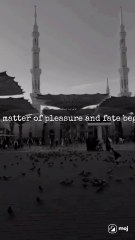 Pleasure is Pleasure