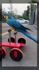 Memorable road trip.