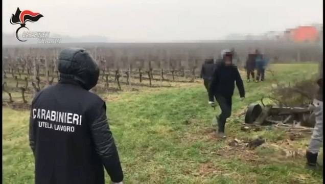 Immigrazione clandestina, 36 arresti tra Salerno, Napoli e Caserta (03.02.25)